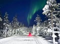 Arctic Night Snowmobile Safari with Campfire, Levi — adults only