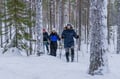 Backcountry Ski Adventure in Lapland (Beginner)
