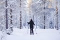 Backcountry Ski Adventure in Lapland (Beginner)