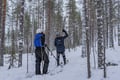 Backcountry Ski Adventure in Lapland (Beginner)