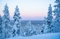 Backcountry Ski Adventure in Lapland (Beginner)