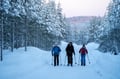 Backcountry Ski Adventure in Lapland (Beginner)