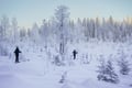 Backcountry Ski Adventure in Lapland (Beginner)
