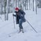 Backcountry Ski Adventure in Lapland (Beginner)
