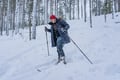 Backcountry Ski Adventure in Lapland (Beginner)