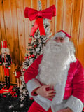 VIP Private Santa (Fixed price - up to 6 people)