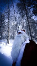 VIP Private Santa (Fixed price - up to 6 people)