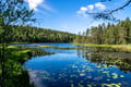 Helsinki: Nuuksio National park hiking with campfire lunch