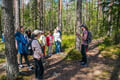 Helsinki: Nuuksio National park hiking with campfire lunch