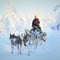 8-10km Husky Ride in the Taiga and Visit Other Farm Animals