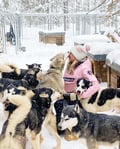 Authentic Cuddling with Siberian Huskies