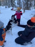 Authentic Cuddling with Siberian Huskies