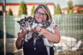 Authentic Cuddling with Siberian Huskies