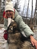 Authentic Cuddling with Siberian Huskies