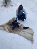 Authentic Cuddling with Siberian Huskies