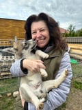 Authentic Cuddling with Siberian Huskies