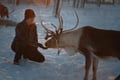 Authentic Reindeer Farm Visit & Feeding Experience with Local Guide in Levi