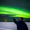 Northern Lights Lookout