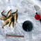 Insider Ice Fishing Adventure