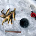 Insider Ice Fishing Adventure