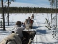 Sami Reindeer Safari Express by the Ounasjoki Rapids
