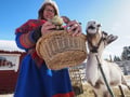Sami Reindeer Safari Express by the Ounasjoki Rapids