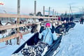 Super reindeer safari