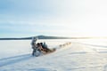 Rovaniemi: Insider 10 km Husky Self‑Drive Adventure