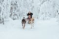 Rovaniemi: Insider 10 km Husky Self‑Drive Adventure