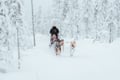 Rovaniemi: Insider 10 km Husky Self‑Drive Adventure