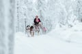 Rovaniemi: Insider 10 km Husky Self‑Drive Adventure