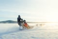 Rovaniemi: Insider 10 km Husky Self‑Drive Adventure