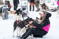 Rovaniemi: Insider 10 km Husky Self‑Drive Adventure