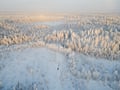 Rovaniemi: Insider 10 km Husky Self‑Drive Adventure