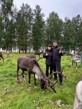 Authentic Reindeer Farm Visit & Reindeer Sleigh Ride in Rovaniemi